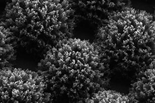 黄石黄石蔡司显微镜